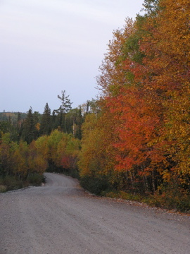 Check out the beautiful colours the trees in the Patricia Region are displaying. With reminders like this, we know that hunting season is upon us.