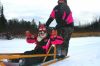 Dog sledding is so much fun.