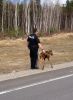 A young moose calf was spotted on Highway 105 just outside of Red Lake