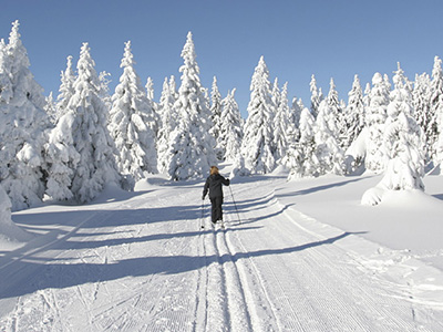 Canadian Winter Activities