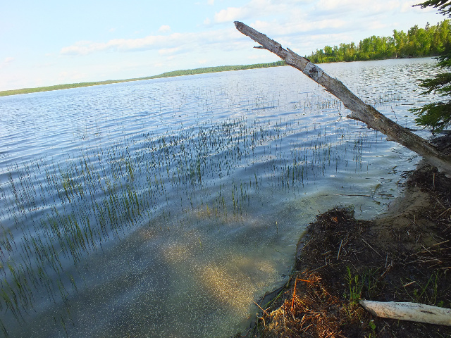 Memories of a Great Canadian Fishing Trip - MidWest Outdoors