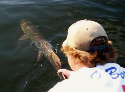 Fishing the Slop for Muskie - Ontario Fishing & Hunting Outfitter