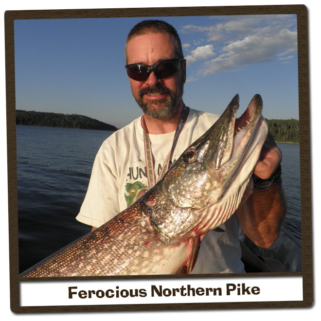 Ontario North Outpost Northern Pike Fishing