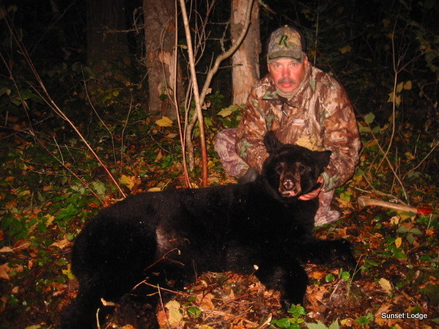 Sunset Lodge Bear Hunting