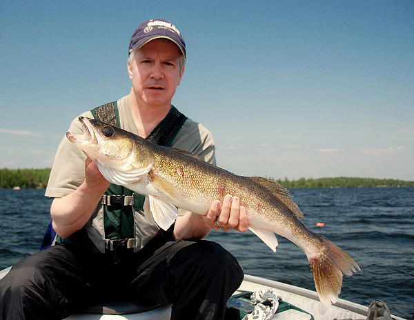 Vertical Jigging Lake of the Woods Walleye 