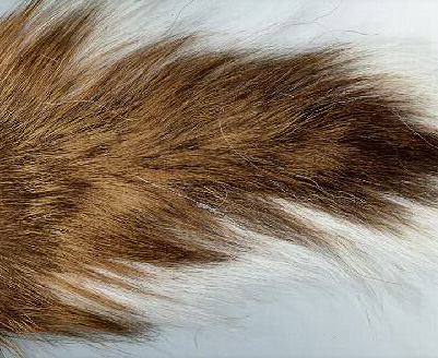 The Original Muskie Bucktail