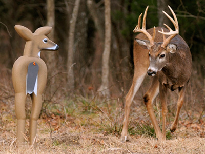 Using Deer Decoys - Ontario Fishing & Hunting Outfitter Mini-Sites