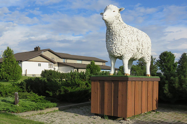 Egli's Sheep Farm & Animal Park
