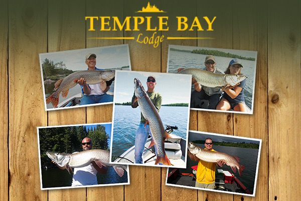 Temple Bay Lodge
